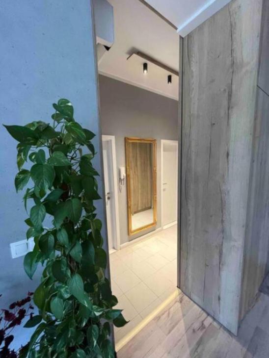 Cozy Apartment Братислава Екстер'єр фото
